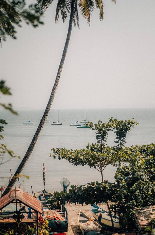 Photograph — Nikon D5100 ・ 50mm ・ f/1.8 ・ 1/3200s ・ ISO100 ・ 2011